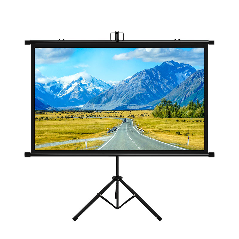 Where can portable mobile screens be used?