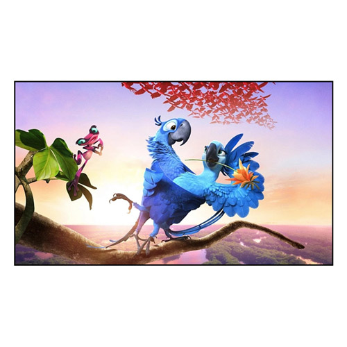 How Does Fixed Frame Screen Improve Your Viewing Experience?